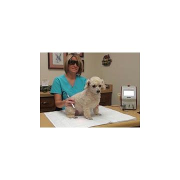 Introduction to Laser Therapy for the Veterinary Technician, Veterinary Assistant, & Veterinary Nurse