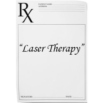 Integrating Laser Therapy into Your Veterinary Practice